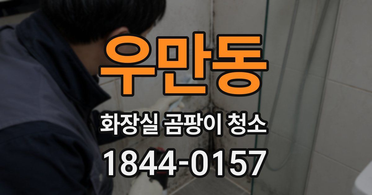 우만동 화장실 곰팡이 청소