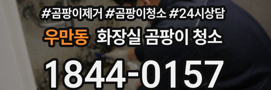 우만동 화장실 곰팡이 청소