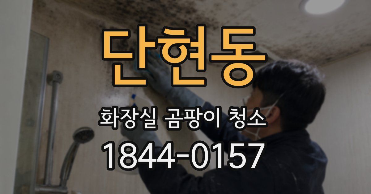 단현동 화장실 곰팡이 청소