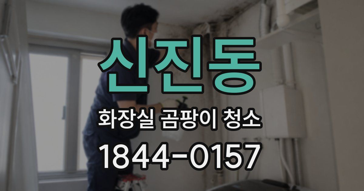 신진동 화장실 곰팡이 청소
