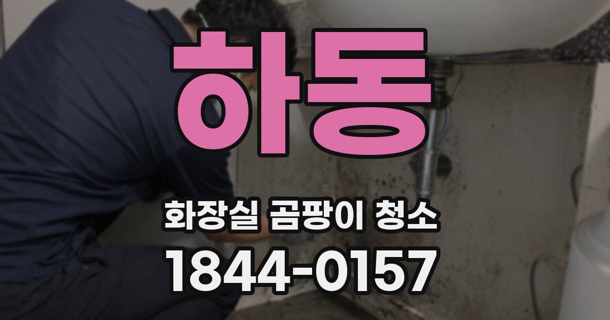 하동 화장실 곰팡이 청소