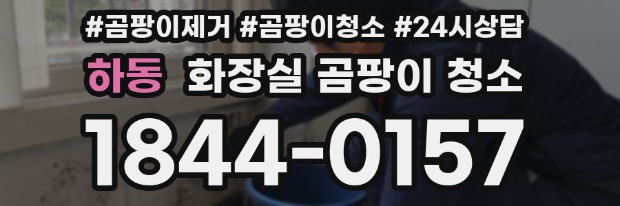 하동 화장실 곰팡이 청소