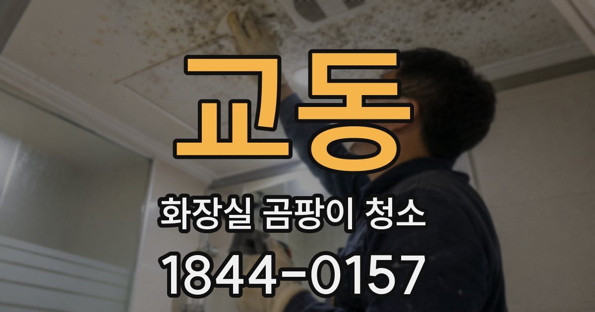 교동 화장실 곰팡이 청소
