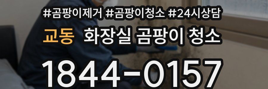 교동 화장실 곰팡이 청소