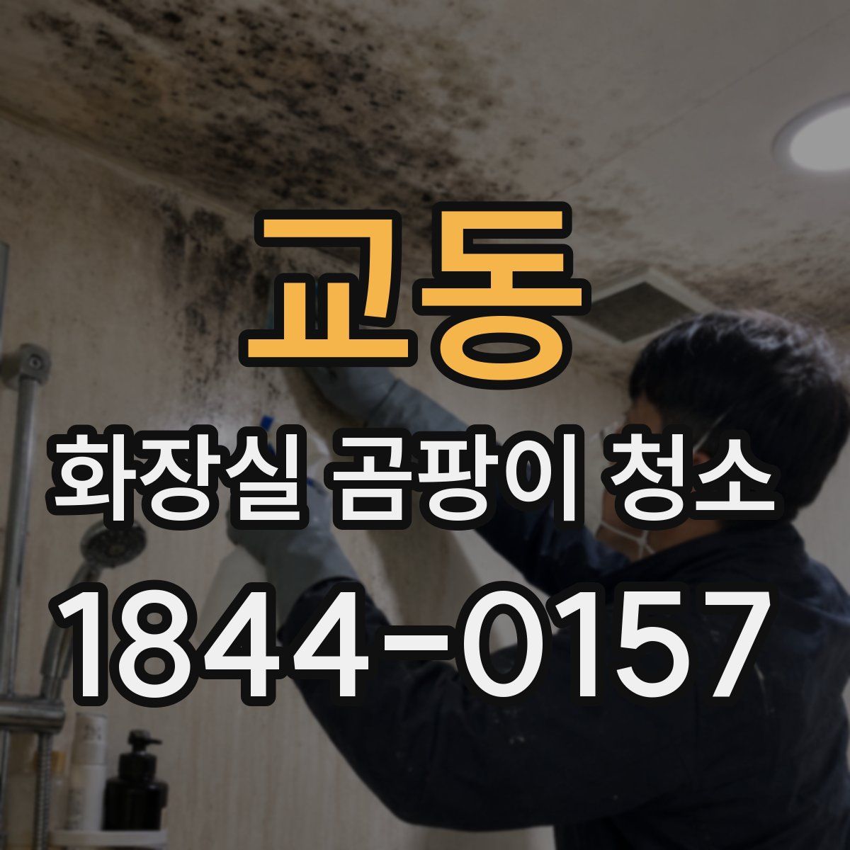교동 화장실 곰팡이 청소