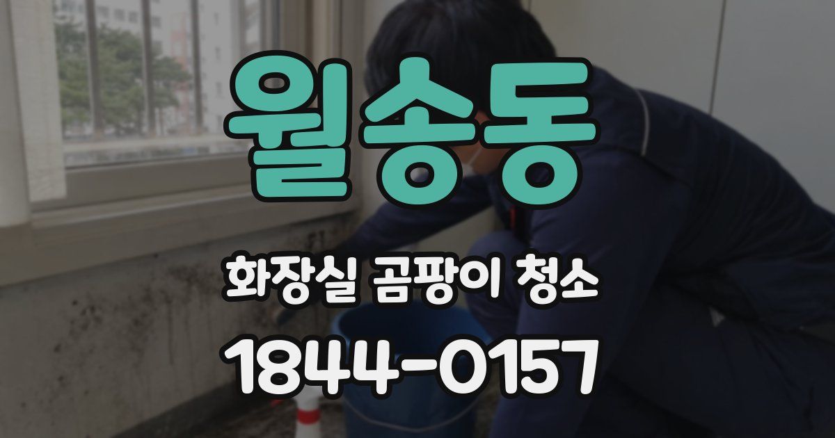 월송동 화장실 곰팡이 청소