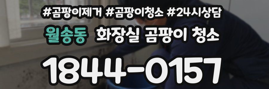 월송동 화장실 곰팡이 청소