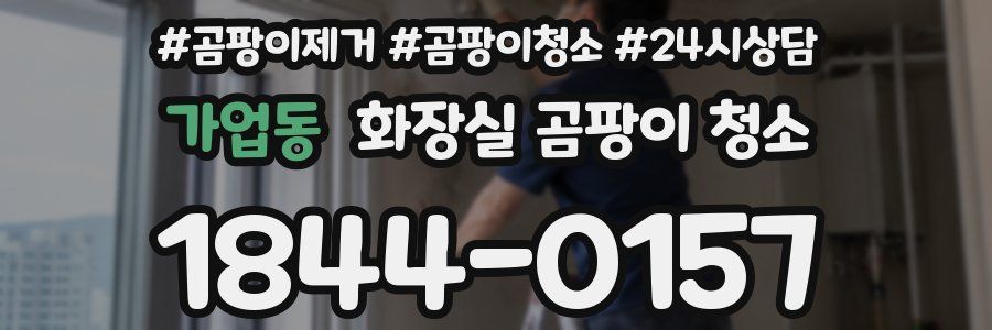 가업동 화장실 곰팡이 청소