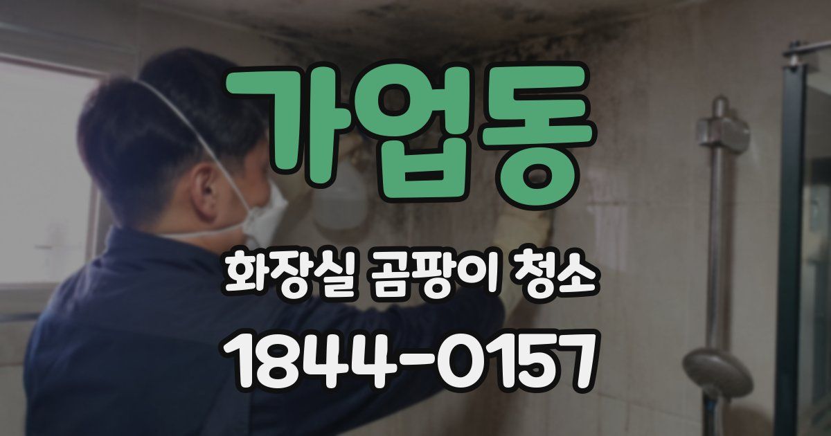 가업동 화장실 곰팡이 청소