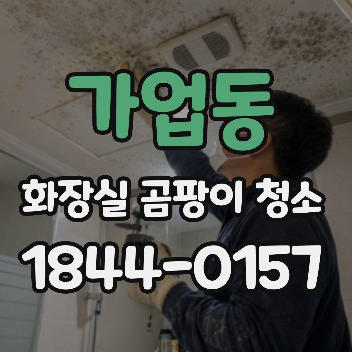 가업동 화장실 곰팡이 청소