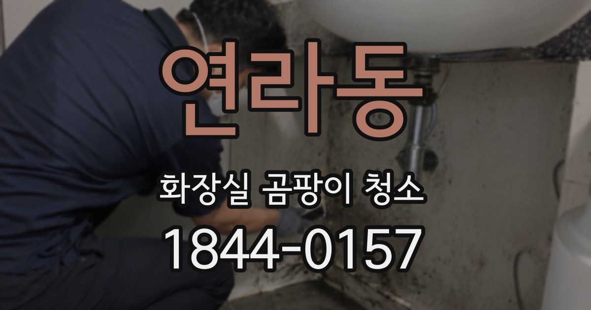 연라동 화장실 곰팡이 청소