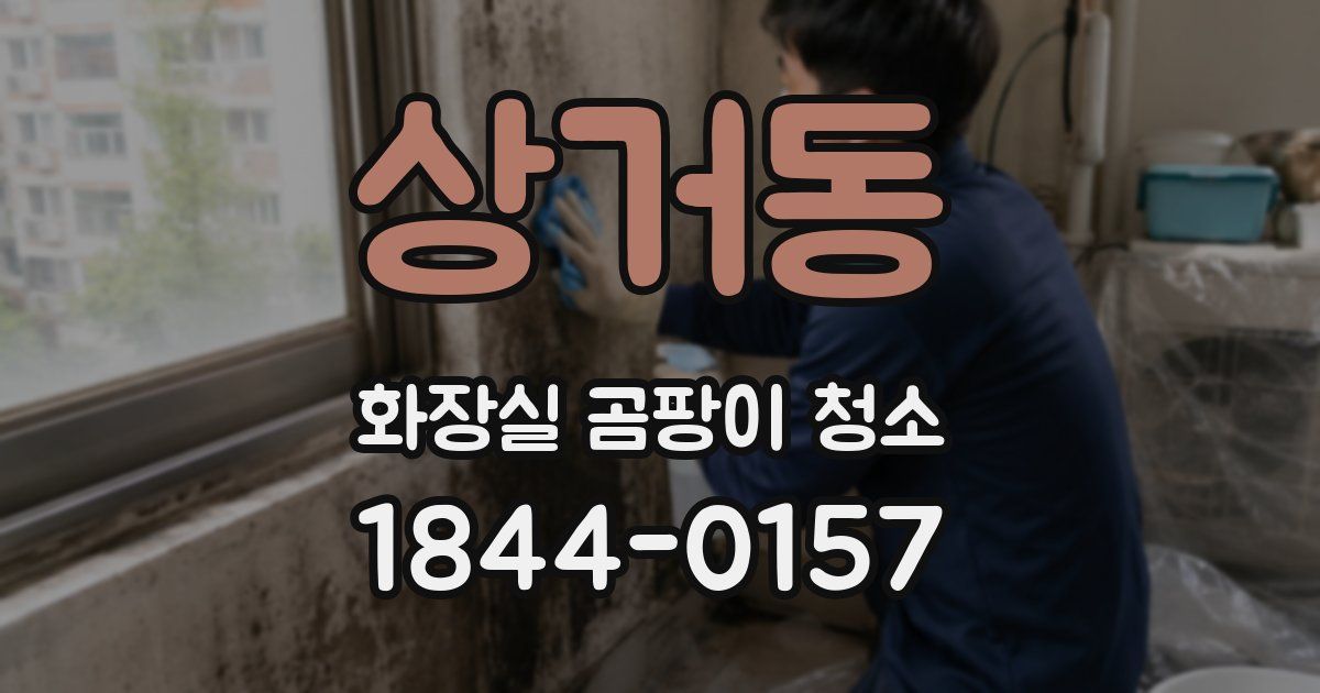 상거동 화장실 곰팡이 청소