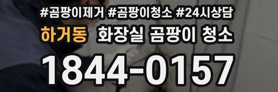 하거동 화장실 곰팡이 청소