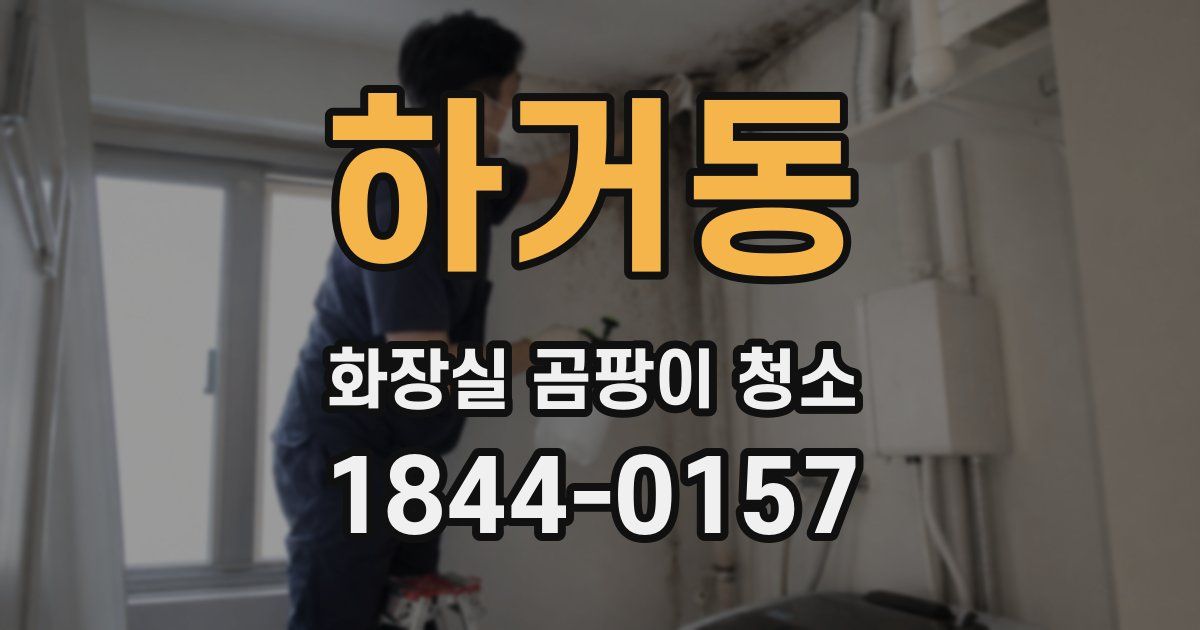 하거동 화장실 곰팡이 청소