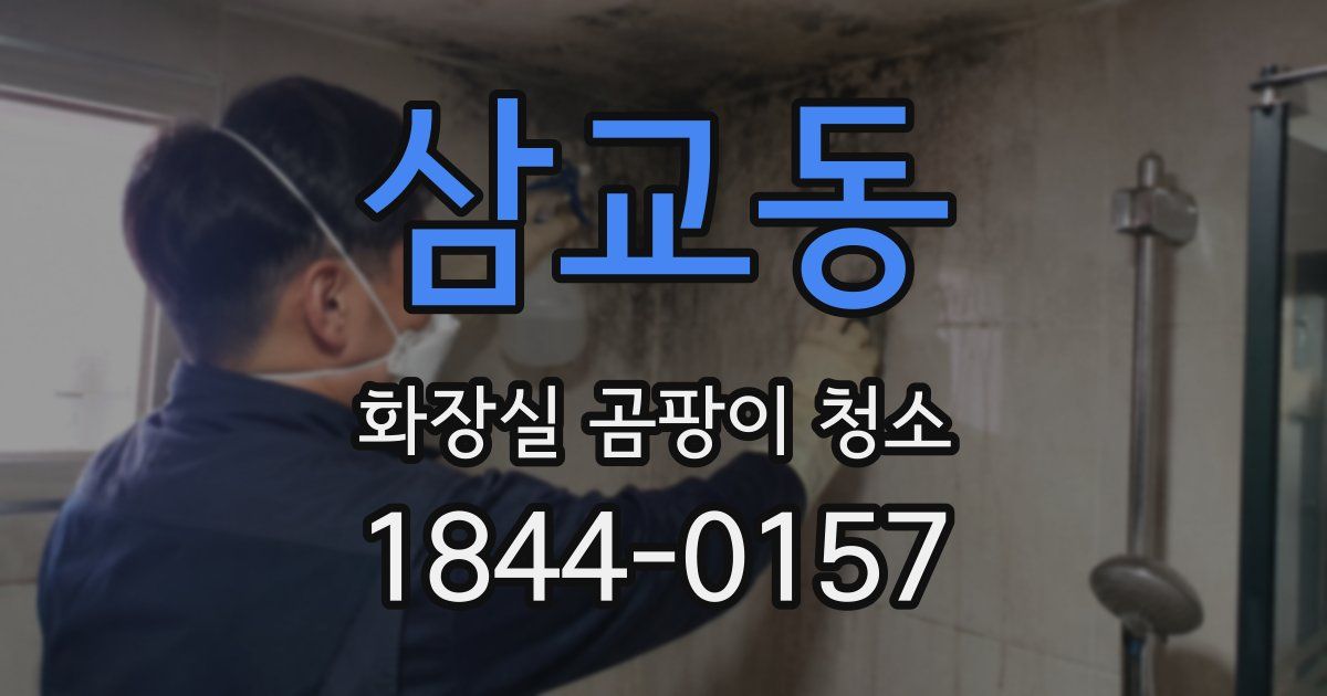 삼교동 화장실 곰팡이 청소