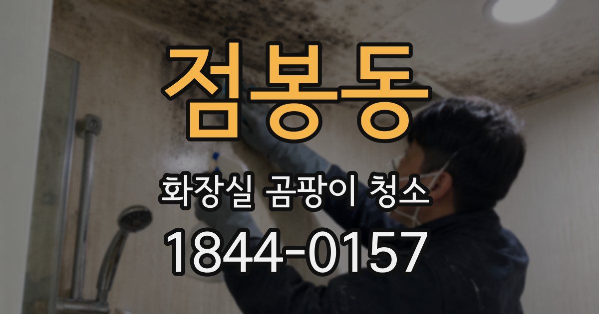 점봉동 화장실 곰팡이 청소