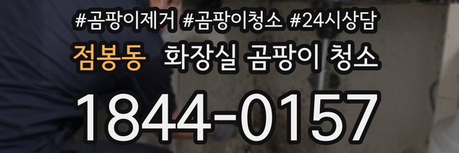 점봉동 화장실 곰팡이 청소