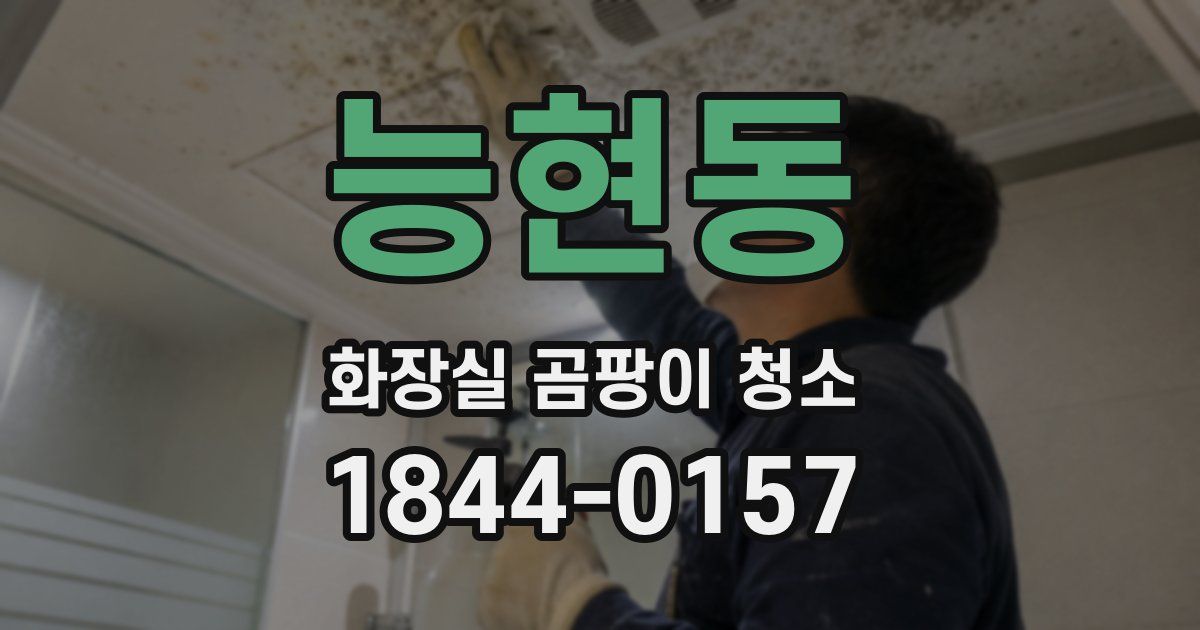 능현동 화장실 곰팡이 청소