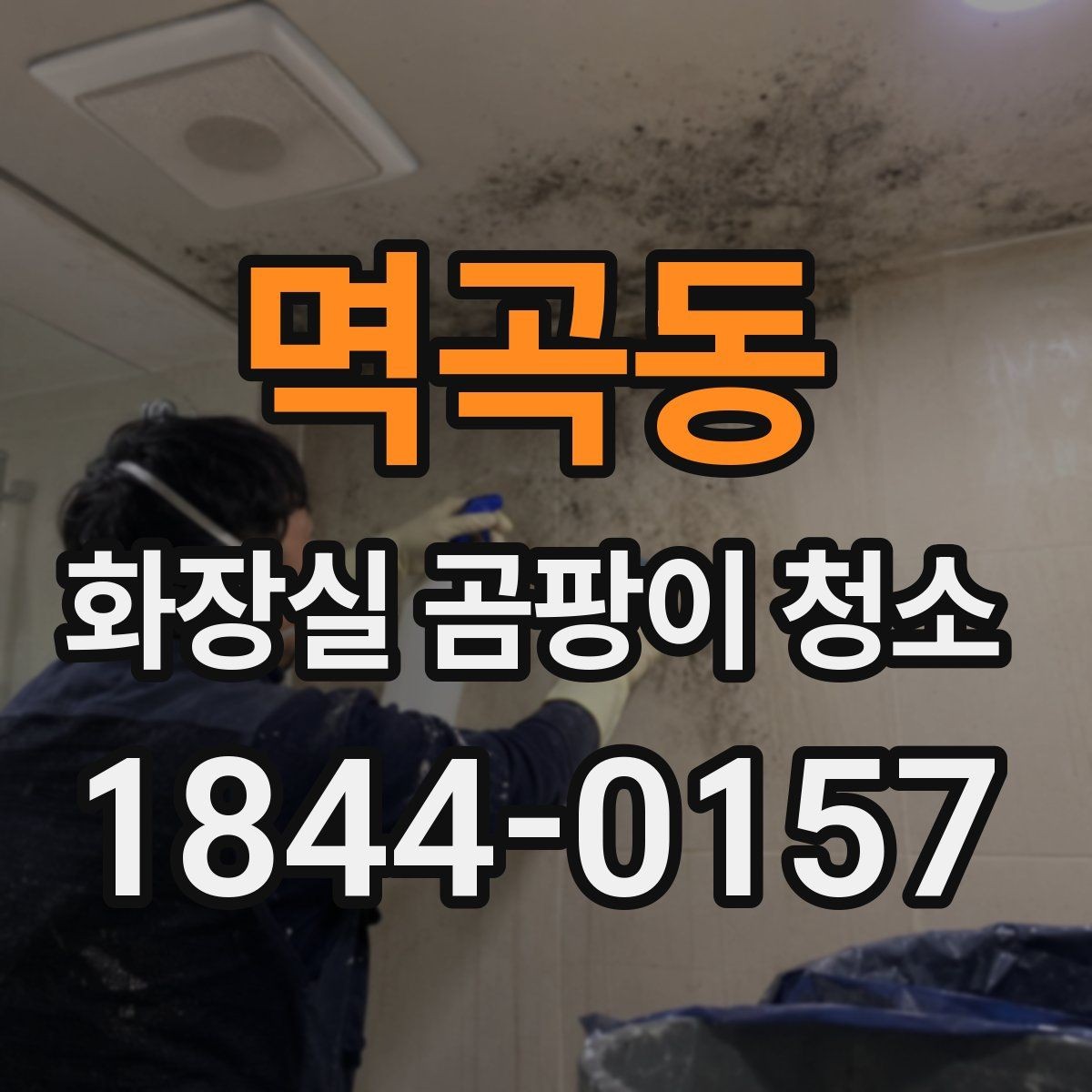 멱곡동 화장실 곰팡이 청소 배수구 주변 곰팡이와 물때를 함께 제거