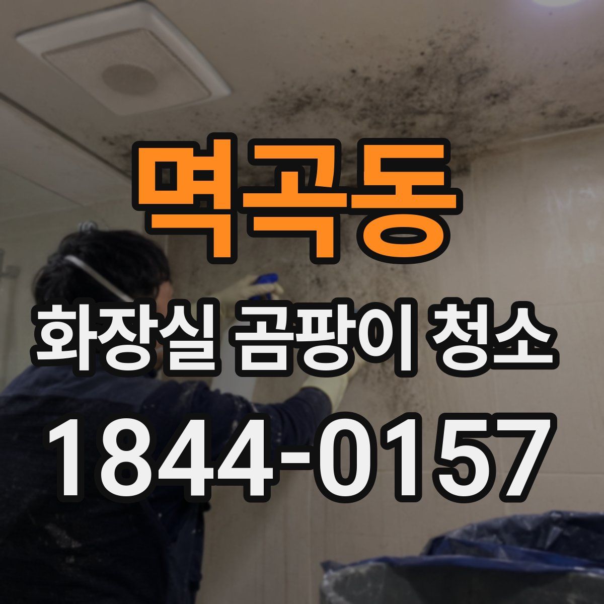 멱곡동 화장실 곰팡이 청소