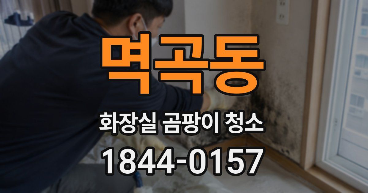 멱곡동 화장실 곰팡이 청소