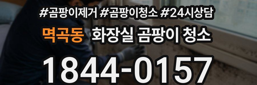 멱곡동 화장실 곰팡이 청소