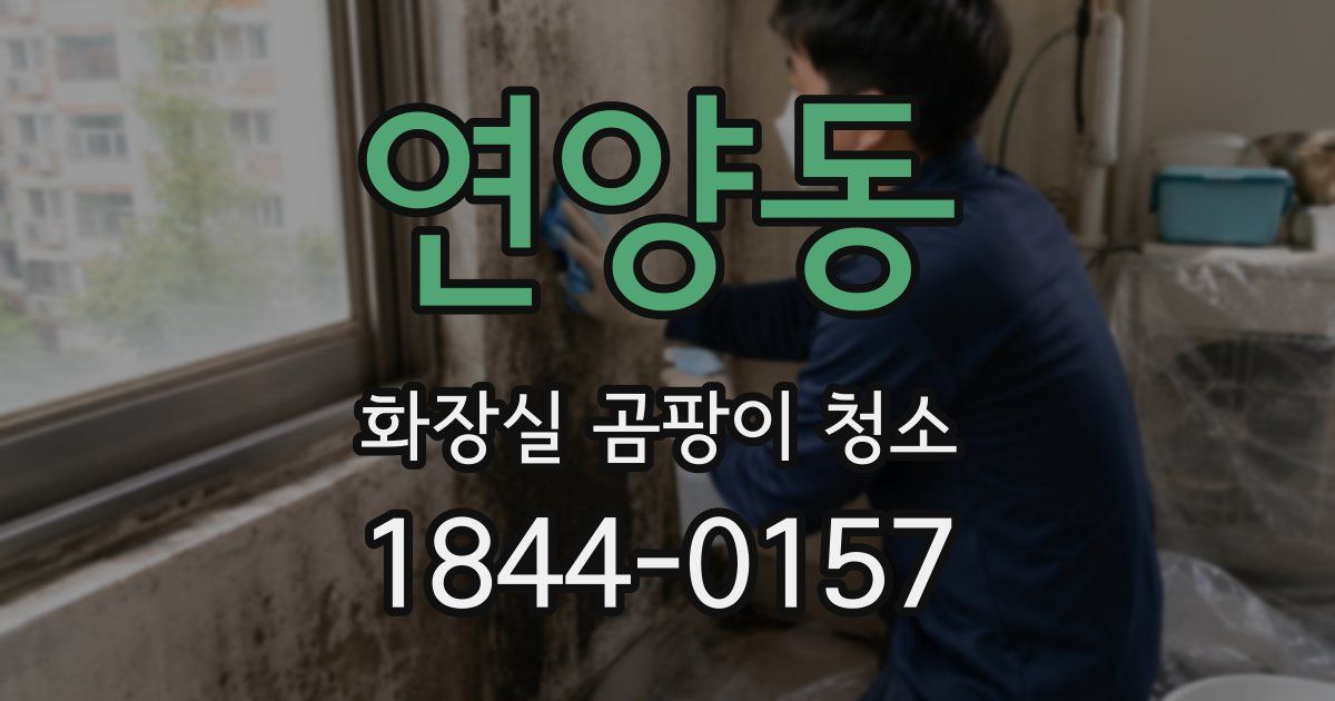 연양동 화장실 곰팡이 청소