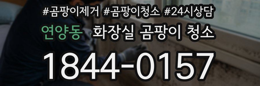 연양동 화장실 곰팡이 청소