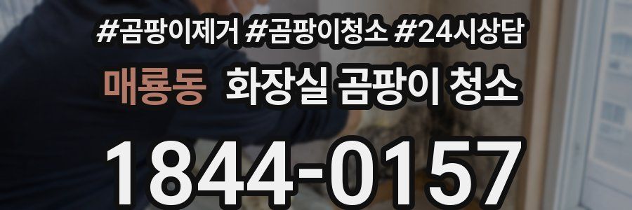 매룡동 화장실 곰팡이 청소