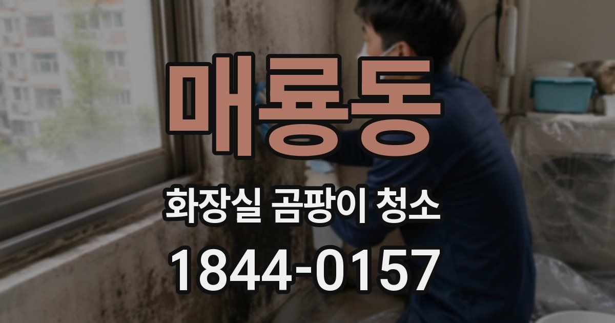 매룡동 화장실 곰팡이 청소