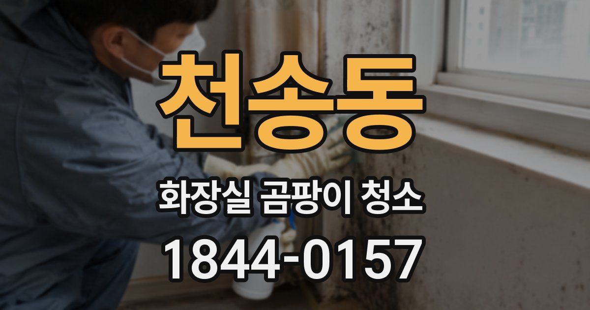 천송동 화장실 곰팡이 청소