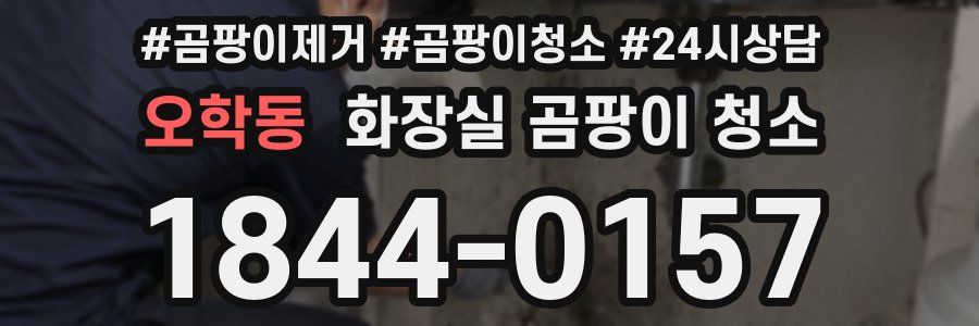 오학동 화장실 곰팡이 청소
