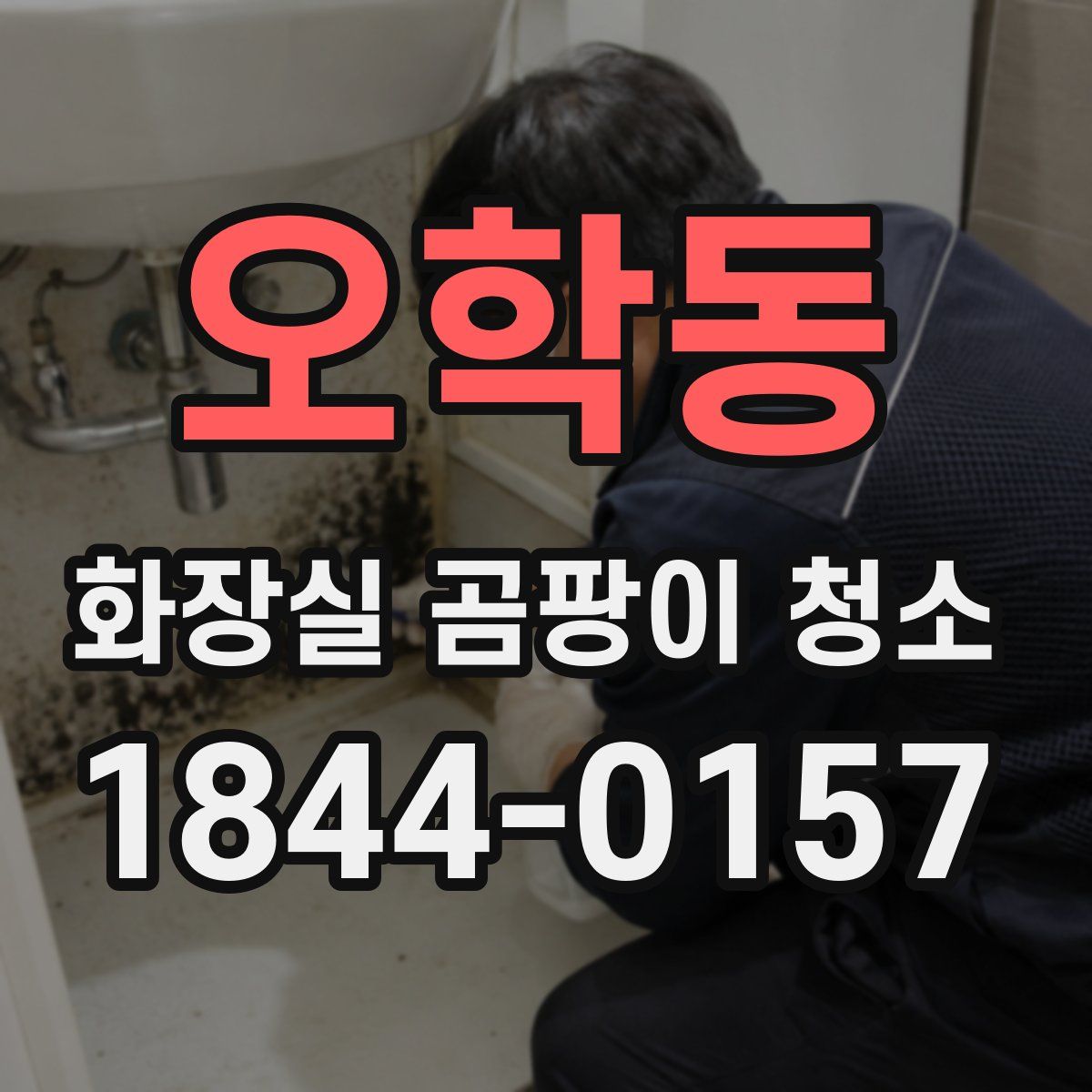 오학동 화장실 곰팡이 청소