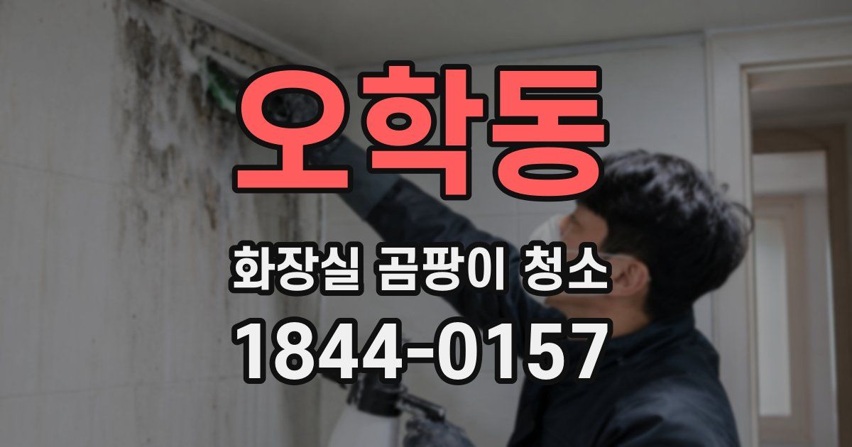오학동 화장실 곰팡이 청소