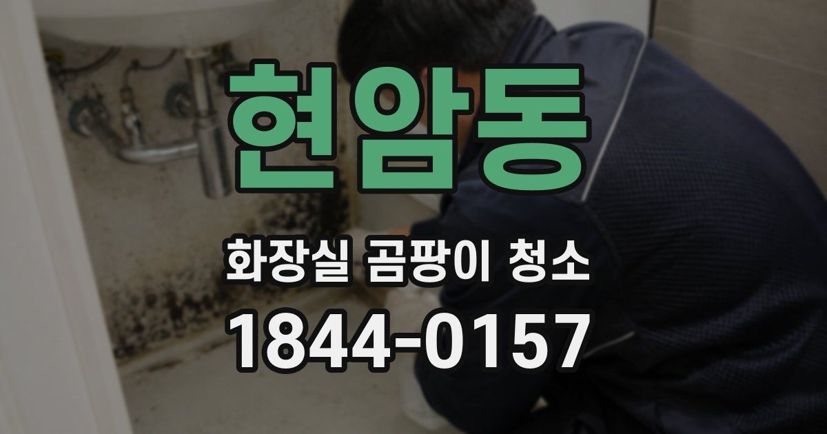 현암동 화장실 곰팡이 청소