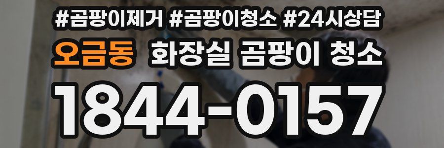 오금동 화장실 곰팡이 청소