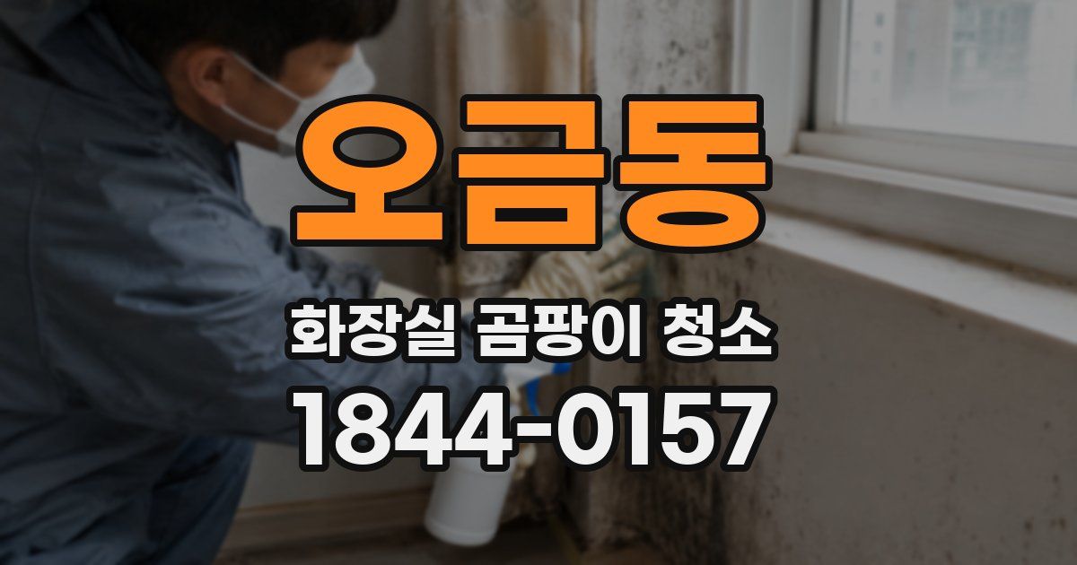 오금동 화장실 곰팡이 청소