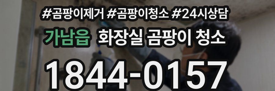 가남읍 화장실 곰팡이 청소