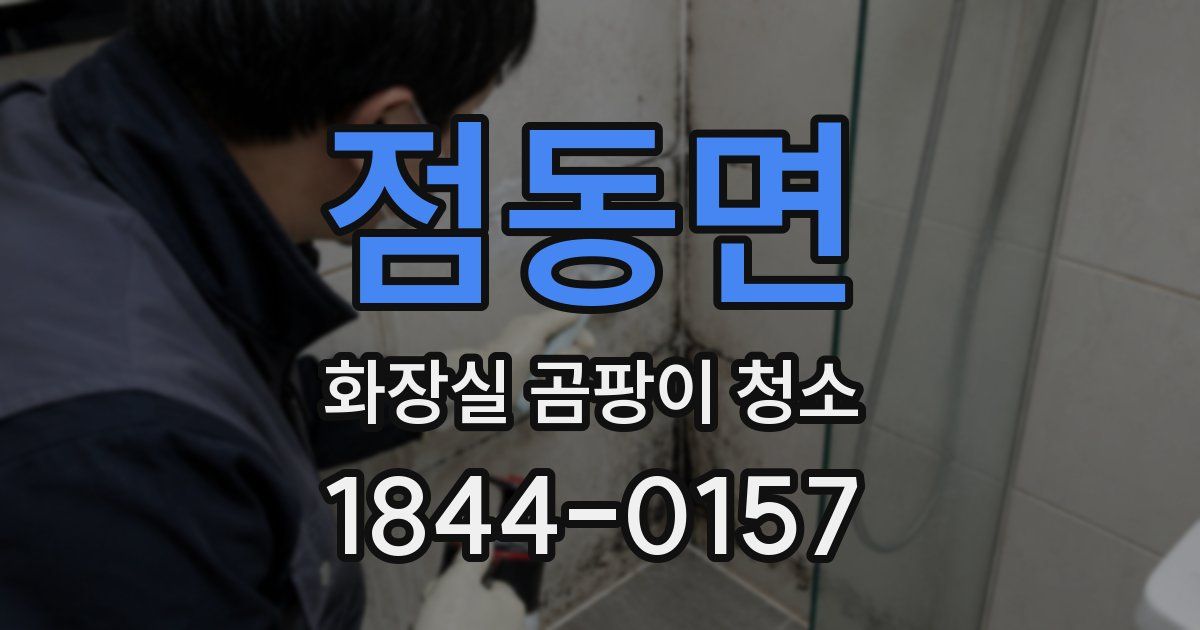 점동면 화장실 곰팡이 청소