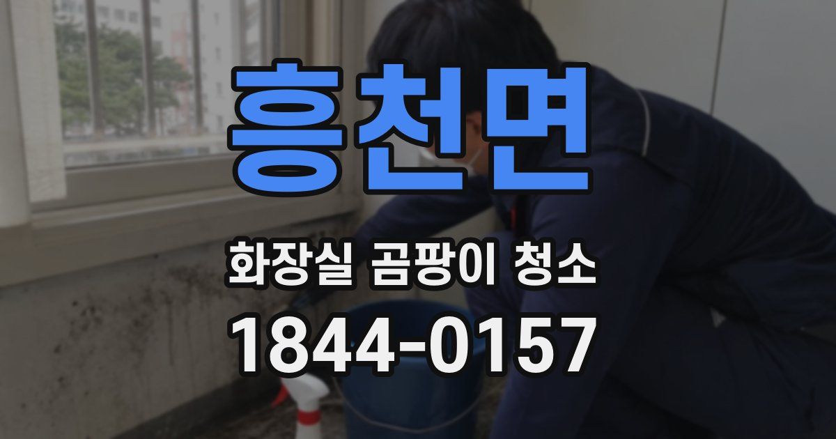 흥천면 화장실 곰팡이 청소