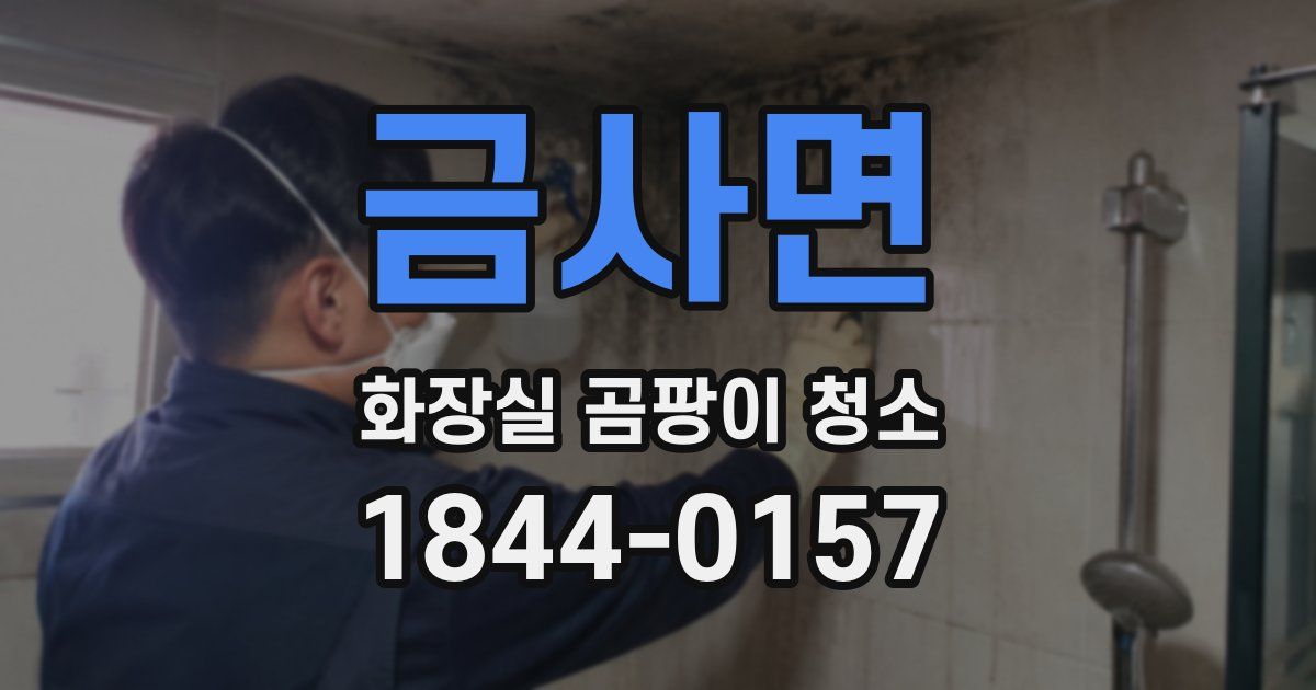 금사면 화장실 곰팡이 청소