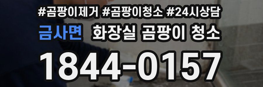 금사면 화장실 곰팡이 청소