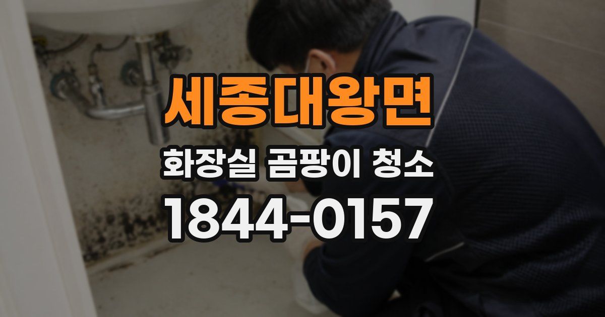 세종대왕면 화장실 곰팡이 청소