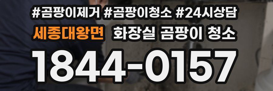 세종대왕면 화장실 곰팡이 청소