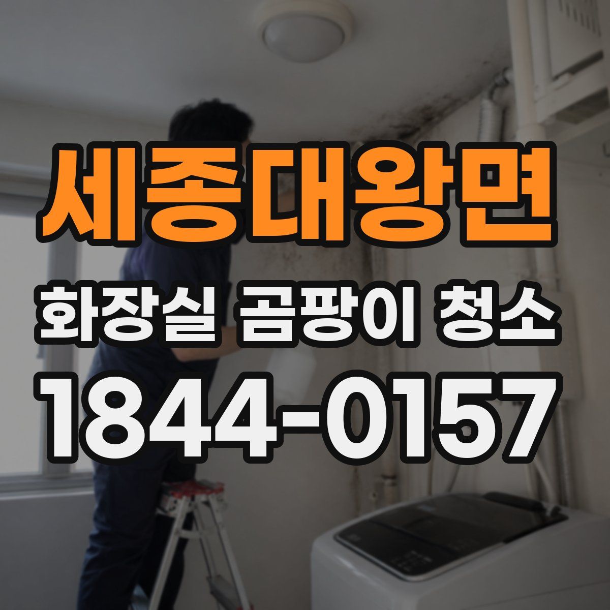 세종대왕면 화장실 곰팡이 청소