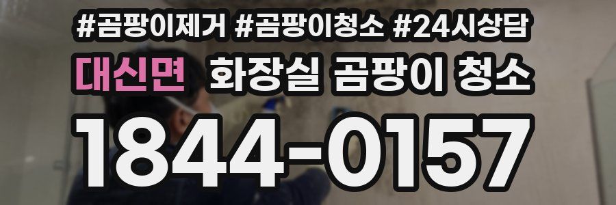 대신면 화장실 곰팡이 청소