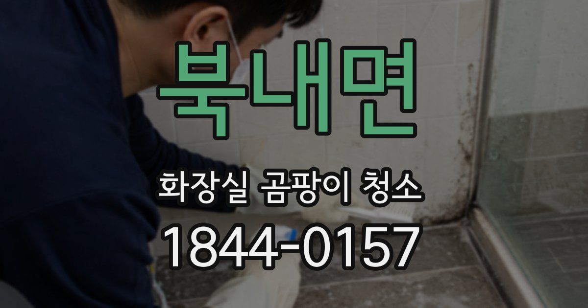 북내면 화장실 곰팡이 청소