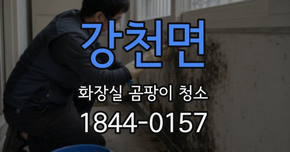 강천면 화장실 곰팡이 청소