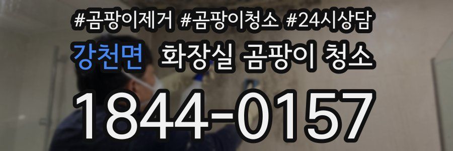 강천면 화장실 곰팡이 청소