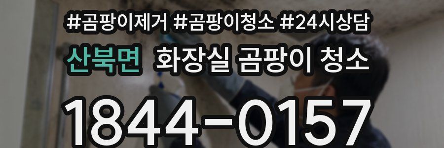 산북면 화장실 곰팡이 청소
